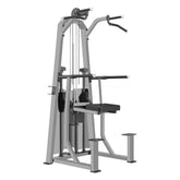 CE 3009 Dip | Chin Assist